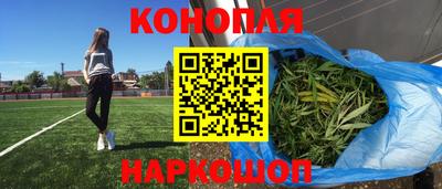 гашик Будённовск
