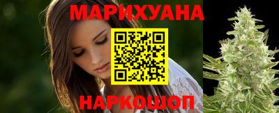 гашик Будённовск