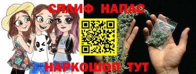 гашик Будённовск