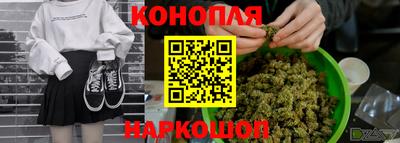 гашик Будённовск