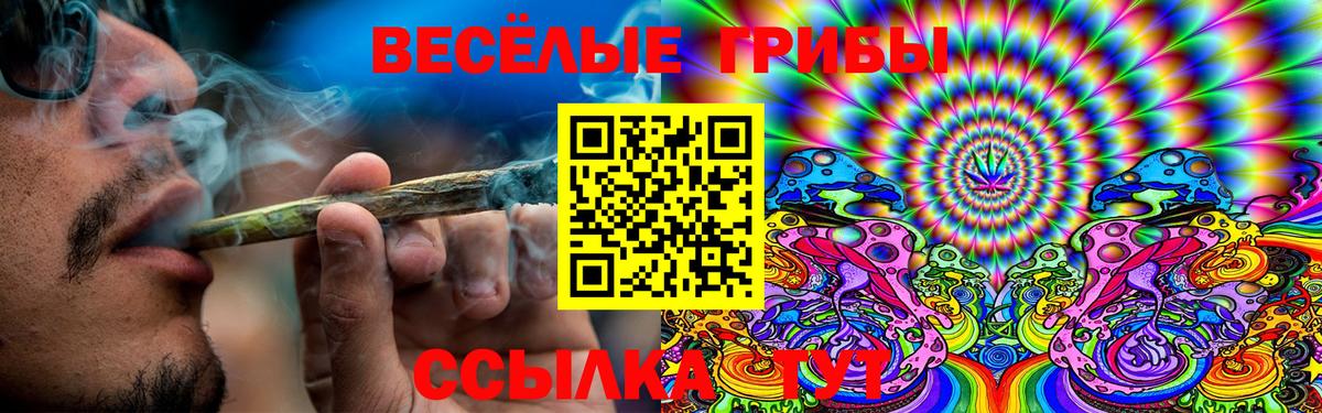 Светлоград  Псилоцибиновые грибы Magic Shrooms  Вход с VPN  Галлюциногенные грибы мухоморы 