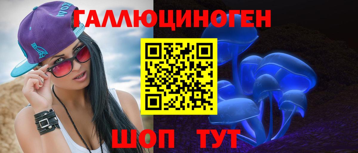 Псилоцибиновые грибы Cubensis Светлоград
